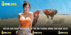 Đá Gà Cựa Dao – Bộ Môn Giải Trí Ấn Tượng Dành Cho Bạn 2025